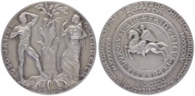 Silbermedaille, 1946
zum Jubiläum auf das 950 Jahre Österreich, Av: aus einem Baumstumpf sprießt ein neuer Trieb, zu den Seiten nackter Mann und halb ...