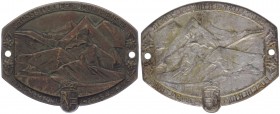 Plakette, o. Jahr
einseitig, Grossglockner Hochalpenstrasse / Salzburg, 2 Befestigungslöcher.. 16,35g
ss