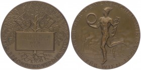 Bronzemedaille, 1952
für Verdienste, für Paul Eckert, Kammer der gewerblichen Wirtschaft.. Wien
136,18g
stgl