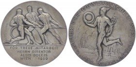 Bronzemedaille, 1959
versilbert, Kammer der gewerblichen Wirtschaft, Wien, für Dir. Dolejs, für treue Mitarbeit.. Wien
139,54g
vz/stgl