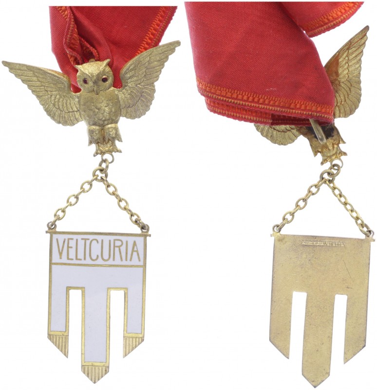 Orden, o. Jahr
Emailierter Anhänger am Halsband, "Velticuria". 20,14g
vz