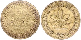 Bundesrepublik Deutschland 10 Pfennig 1950 Zweimal Baumseite, einmal incus, einseitiger Abschlag der Baumseite, geprägt auf der hauchdünnen Tombak-Pla...