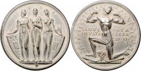 Kroatien Zinkmedaille 1918 (v. Kerdic) auf die Ausrufung des Staates der Slowenen, Kroaten und Serben am 29. Oktober 1918 
79,5mm 135,4g selten vz