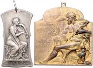 - Jugendstil Lot o.J. von 2 Stücken: Silberplakette 1900 (v. Vernon) auf den 13. Internationalen Medizinkongress in Paris (gelocht m. Ring, 22,4x40,4m...