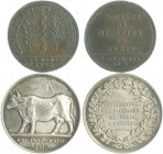 - Medicina in nummis Lot o.J. von 2 Stücken: Bronzejeton 1796 der Medizinischen Gesellschaft in Paris für kostenlose Behandlungen (29,0mm 9,6g) und Si...