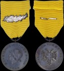 GREECE: Medal of the Struggle of North Epeiros 1914 (1935). 1st Class: Silver laurel branch on the ribbon. With full original ribbon. (Stratoudakis 11...