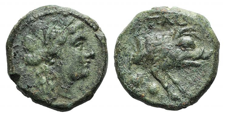 Northern Lucania, Paestum, c. 218-201 BC. Æ Sextans (15mm, 3.65g, 6h). Head of C...