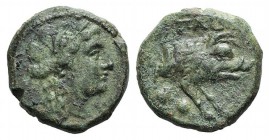 Northern Lucania, Paestum, c. 218-201 BC. Æ Sextans (15mm, 3.65g, 6h). Head of Ceres r. R/ Forepart of boar r.; two pellets below. Crawford 5/3; HNIta...