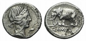 Q. Caecilius Metellus Pius, Rome, 81 BC. AR Denarius (17mm, 3.76g, 6h). Diademed head Pietas r.; in r. field, stork. R/ Elephant walking l. Crawford 3...