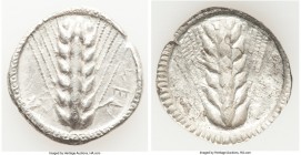 LUCANIA. Metapontum. Ca. 510-470 BC. AR stater (25mm, 6.73 gm, 12h). Choice VF. MEA (on right, retrograde), barley ear with seven grains; guilloche bo...