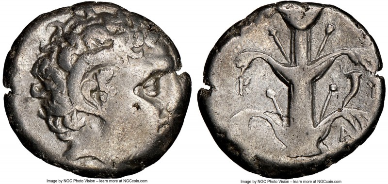 CYRENAICA. Cyrene. Ca. 308-277 BC. AR didrachm (20mm, 7.60 gm, 1h). NGC VF 2/5 -...