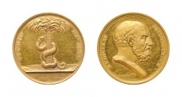 * Medicina in numis, Goldmedaille der medizinischen Gesellschaft von Lyon, von Barre. Hippokrates-Portrait nach rechts, Revers: Palmbaum mit Äskulapsc...