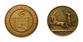 * Partie Schweizer Medaillen zu verschiedenen Anlässen. Dabei u.a. Goldmedaille zum Dienstjubiläum der Rhätischen Bahn 1934 im Originaletui. Die Medai...