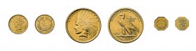 21 Goldmünzen USA. Dabei 3 x 20 Dollar Liberty Head mit 1 x 20 Dollar 1900 S und 2 x 20 Dollar 1907. 4 x 10 Dollar mit 2 x 10 Dollar Liberty Head 1901...
