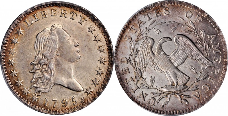 Flowing Hair Half Dollar
1795 Flowing Hair Half Dollar. O-113a, T-14. Rarity-4....