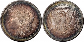 Morgan Silver Dollar
1880-S Morgan Silver Dollar. MS-67+ (PCGS). CAC.
A phenomenal representative of this S-Mint issue as well as the overall Morgan...