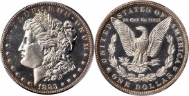 Morgan Silver Dollar
1883 Morgan Silver Dollar. Proof-63 (PCGS).
Untoned apart from subtle iridescent highlights at the borders, this brilliant fini...