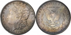 Morgan Silver Dollar
1884 Morgan Silver Dollar. Proof-66 (PCGS). CAC.
Antique silver surfaces display vivid cobalt and golden-rose highlights, espec...