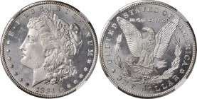 Morgan Silver Dollar
1884-CC Morgan Silver Dollar. MS-67+ (NGC).
This semi-prooflike beauty combines frosty, fully detailed devices with glassy, app...