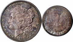 Morgan Silver Dollar
1889 Morgan Silver Dollar. Proof-64 (PCGS).
Far better struck than the typical Proof Morgan dollar from the 1888 to 1893 era, t...