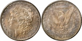 Morgan Silver Dollar
1889-S Morgan Silver Dollar. MS-66+ (PCGS).
One of the finest examples of this issue known to PCGS, this expertly preserved and...