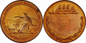 Agricultural, Scientific, and Professional Medals
"1878" (1879) The Agricultural and Industrial Society of Delaware County, Pennsylvania Award Medal....