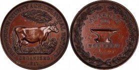 Agricultural, Scientific, and Professional Medals
1876 Jefferson County Agricultural Society Award Medal. Julian AM-25, Harkness Ny-331. Bronze. Abou...