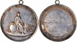Agricultural, Scientific, and Professional Medals
1872 Michigan State Agricultural Society Award Medal. By Charles Cushing Wright. Julian AM-45, Hark...