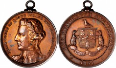 Religious, Society, and Fraternal Medals
1892 Grand Lodge of Rhode Island Medal. Julian RF-22. Bronze. About Uncirculated, Cleaned.
38.5 mm. Looped ...