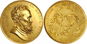 Miscellaneous Medals
Italy. 1812 Michelangelo Award Medal. By Santarelli. Apparently Gold-Plated. Mint State, Cleaned.
54 mm. 107.5 grams. Obv: Bust...