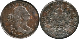 Draped Bust Half Cent
1804 Draped Bust Half Cent. C-8. Rarity-1. Spiked Chin. EF-40 (PCGS).
PCGS# 1075. NGC ID: 222G.
From Williams Gallery's sale ...