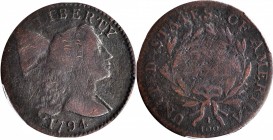Liberty Cap Cent
1794 Liberty Cap Cent. Rarity-2. Head of 1795. Good Details--Tooled (PCGS).
PCGS# 1365. NGC ID: 223M.
Estimate: $300