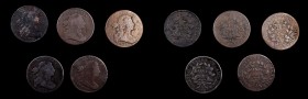 Draped Bust Cent
Lot of (5) 1802 Draped Bust Cents.
Included are: Very Good, planchet flaws, edge bumps; Very Good, environmental damage, scratches;...