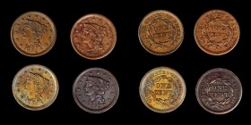 Braided Hair Cent
Lot of (4) 1854 Braided Hair Cents.
Included are: Mint State, cleaned, recolored; About Uncirculated; Extremely Fine, environmenta...