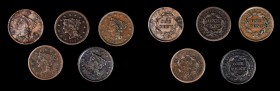 Braided Hair Cent
Lot of (5) Braided Hair Cents.
Included are: 1841 Very Fine, cleaned; 1842 Small Date, Extremely Fine, corroded; 1843 Petite Head,...