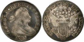 Draped Bust Half Dollar
1807 Draped Bust Half Dollar. O-105a, T-4. Rarity-4. Fine-15 (PCGS).
PCGS# 6079. NGC ID: 24EM.
Estimate: $500