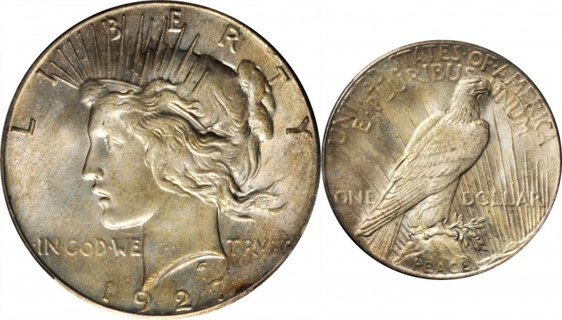 Peace Silver Dollar
1927 Peace Silver Dollar. MS-64 (PCGS).
PCGS# 7370. NGC ID...