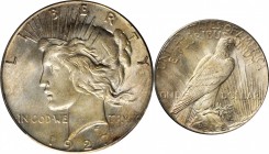Peace Silver Dollar
1927 Peace Silver Dollar. MS-64 (PCGS).
PCGS# 7370. NGC ID: 257S.
From the Abigail Collection.
Estimate: $300