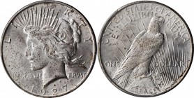 Peace Silver Dollar
1927-D Peace Silver Dollar. MS-64 (PCGS).
PCGS# 7371. NGC ID: 257T.
From the Abigail Collection.
Estimate: $800