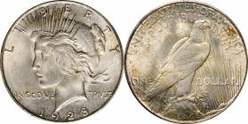 Peace Silver Dollar
1928-S Peace Silver Dollar. Unc Details--Harshly Cleaned (PCGS).
PCGS# 7374. NGC ID: 257W.
From the Abigail Collection.
Estima...