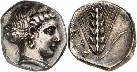 LUCANIE. METAPONTE (vers 340-335 avt. JC). Nomos (7,91 g).
A/ Tête féminine à droite, les cheveux retenus par la spendoné, avec une boucle d'oreille ...