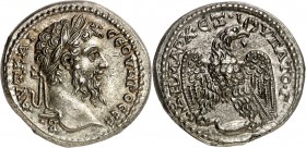 SEPTIME SEVERE (SYRIE). Tétradrachme d'Antioche (13,00 g).
A/ Sa tête laurée à droite.
R/ Aigle de face, la tête à droite, tenant dans son bec une c...