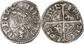 PRINCIPAUTE D'ORANGE. JEAN II DE CHÂLON (1475-1478) et (1482-1502).
Double denier au heaume ou denier blanc (1,59 g).
A/ + IOhS: DE.-.CABILL. Ecu éc...