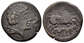 Damaniu. As. 120 - 20 a.C. Zona de Aragón. (Abh-890). (Acip-1614). Anv.: Cabeza masculina a derecha, delante delfín y detrás letra ibérica Da. Rev.: J...