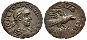Galieno. AE. 253-268 d.C. Alejandría. (Bellinger-A456). Rev.: COL AVG TRO. Águila volando a derecha con cabeza de toro en sus garras. Ae. 4,93 g. MBC-...