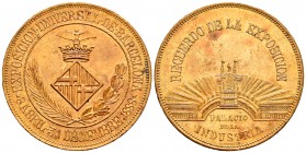 España. Alfonso XIII (1886-1931). Medalla. 1888. Barcelona. Ae. 27,05 g. Exposición Universal de Barcelona. Palacio de la Industria. Golpecitos en el ...