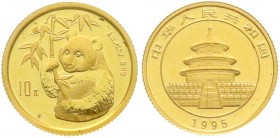 China
Volksrepublik, seit 1949
10 Yuan GOLD 1995. Hüftbild eines Pandas mit Bambuszweig. 1/10 Unze Feingold. Large Date, verschweißt. Stempelglanz