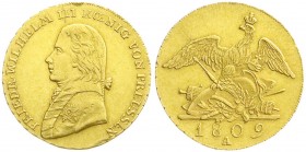 Brandenburg-Preußen
Friedrich Wilhelm III., 1797-1840
Friedrichs d`or 1809 A, Berlin. 6,65 g. vorzüglich, kl. Kratzer und min. Randfehler