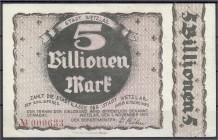 Deutsches Notgeld und KGL
Wetzlar (Rheinland)
5 Billionen Mark 1.11.1923, Farbe Wertangabe rechts und um Wertangabe mitte = lila/braun. kl. Einriß a...