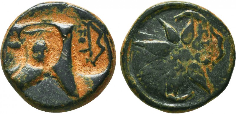 PONTOS. Uncertain. Time of Mithradates VI, circa 130-100 BC. AE. Bashlyk left; t...